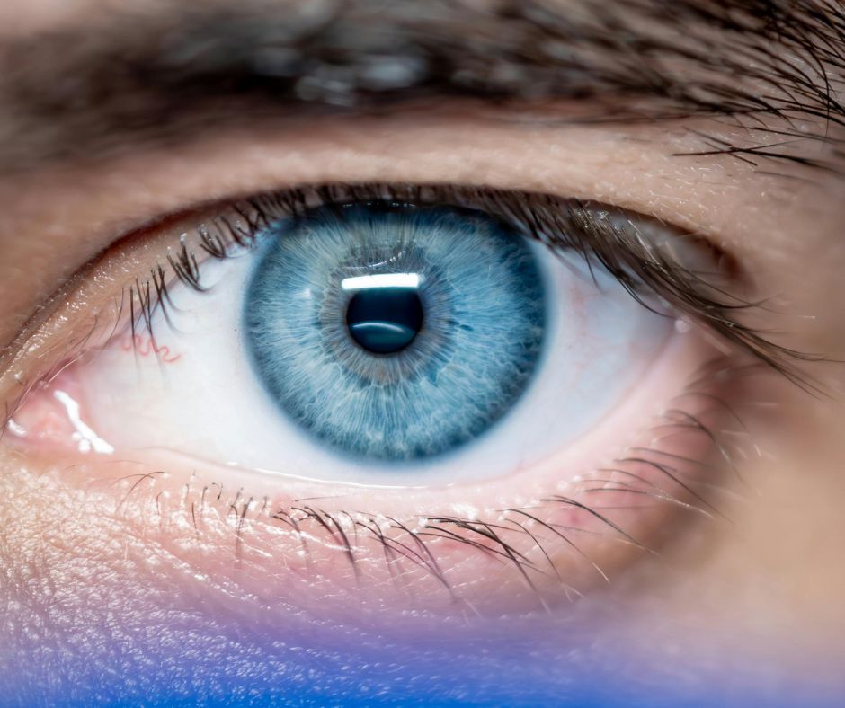 Maladies systémiques et vision : pourquoi l’opticien joue un rôle clé